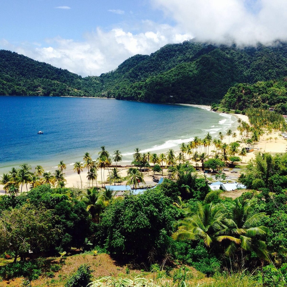 Maracas Bay Beach & Shark & Bake Culinary Immersion