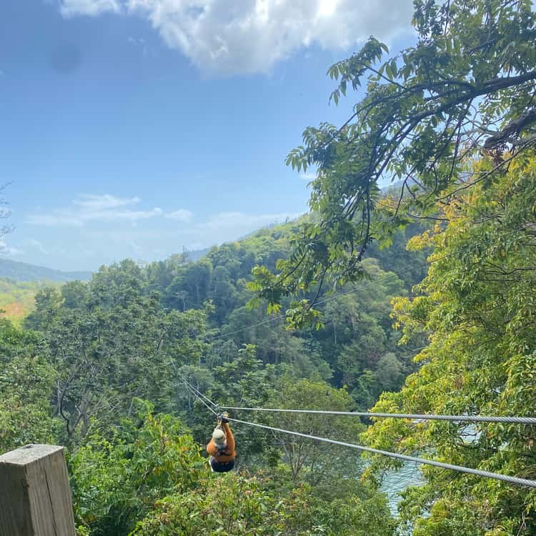 Zipline & Rainforest Canopy Adventure at Macqueripe Bay
