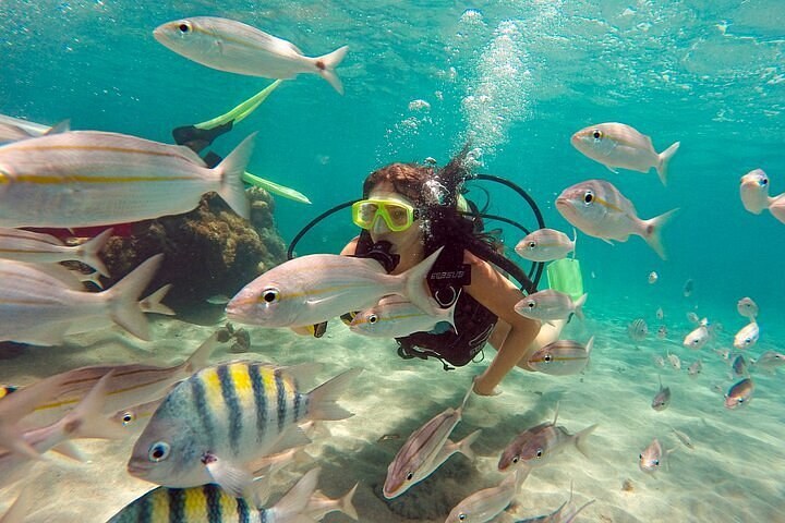 Maracajaú Reefs: Private Scuba Dive in Crystal Parrachos