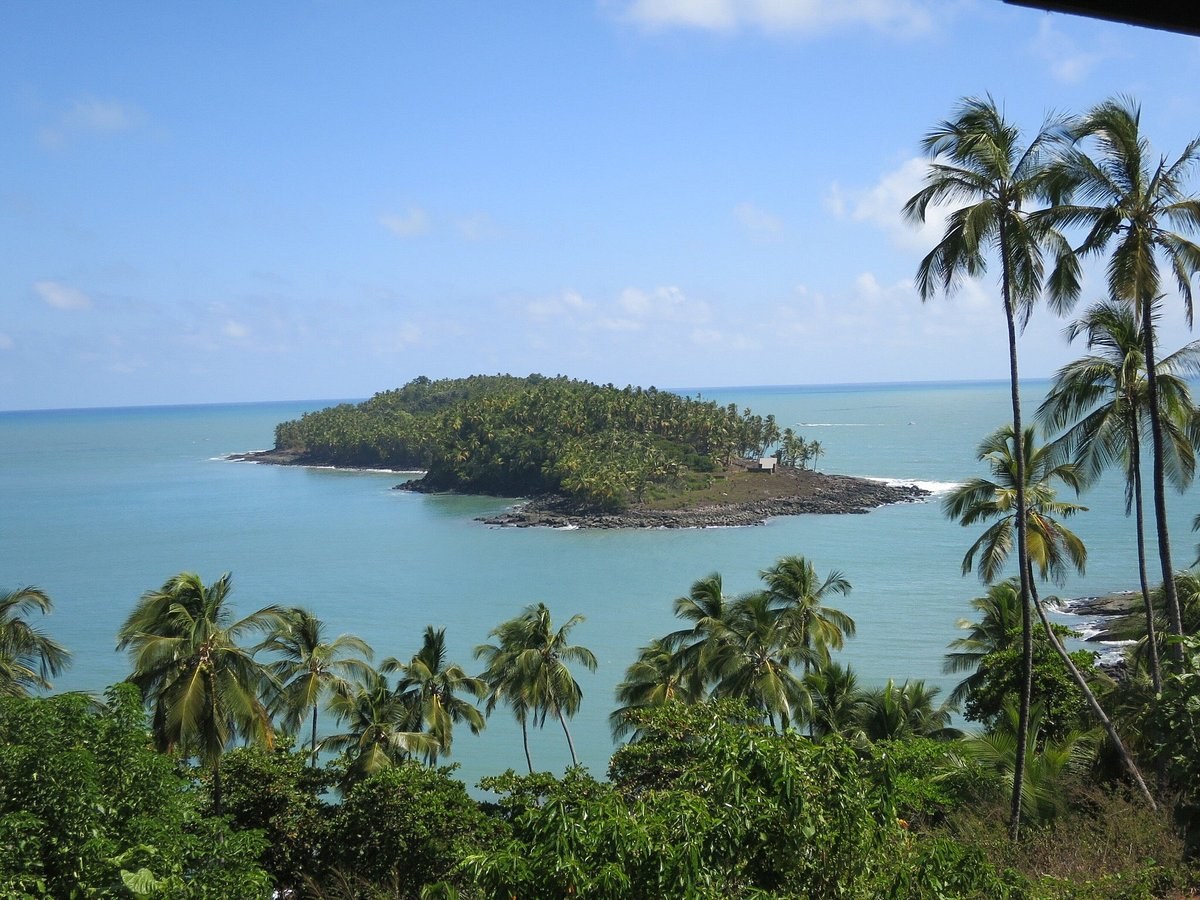 Îles du Salut: Private Guided History & Wildlife Immersion