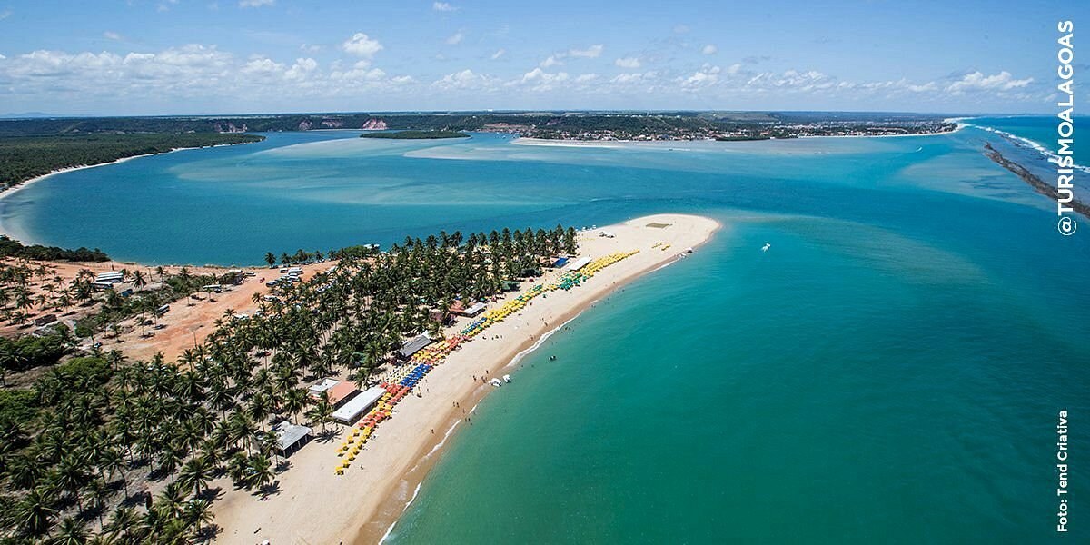 Praia do Gunga: Private Jangada & Secluded Beach Day