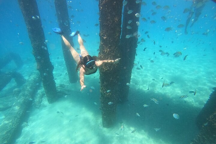 Caribbean Snorkel & Coral Reef Dive: Certified Small-Group