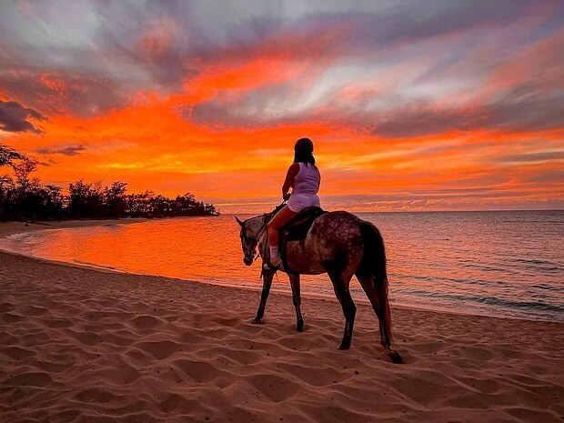 Sunset Horseback Ride on Anguilla's Wild Eastern Beaches