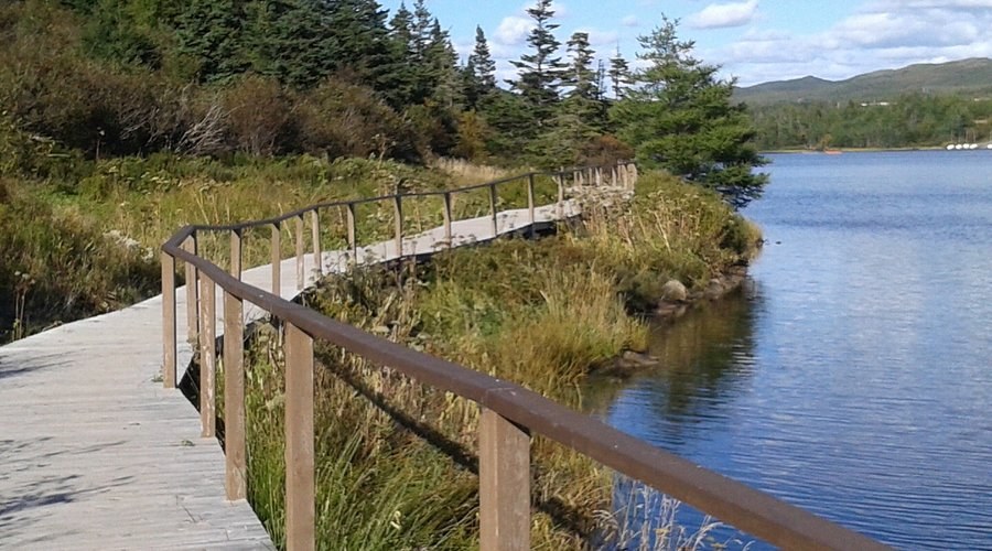 Heritage Walk & Salt Pond Trail with a Local Historian