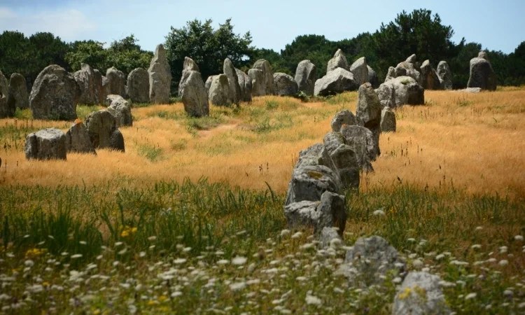 Carnac Megaliths & Saint-Goustan Port: Private Half-Day