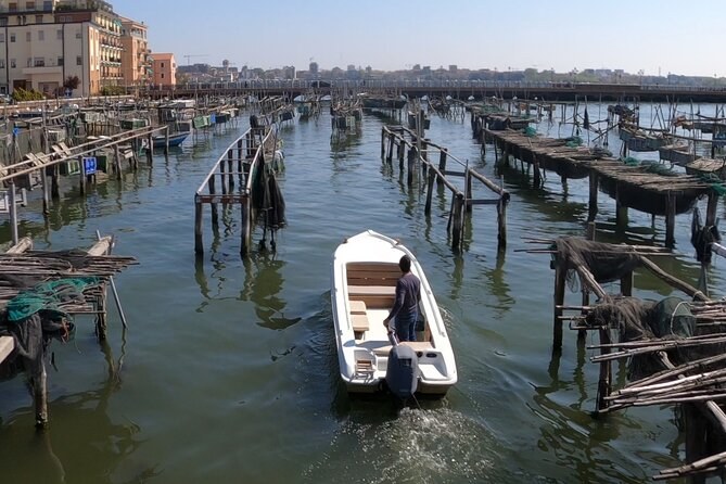 Chioggia: Aquaculture & Lagoon Fishing Secrets on a Working Boat