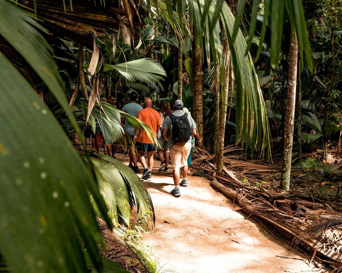 Vallée de Mai: Private Expert-Guided UNESCO Palm Forest