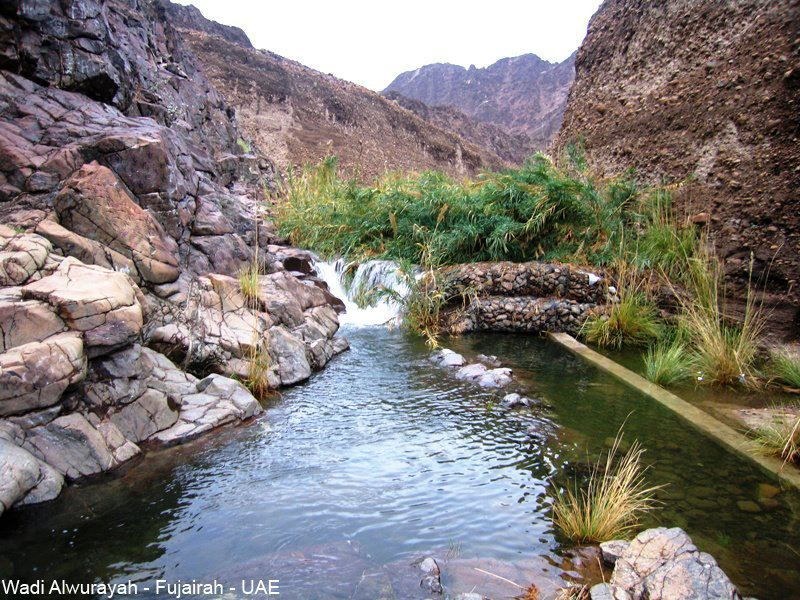 Wadi Wurayah: Private 4×4 Trek into a UNESCO Biosphere Reserve