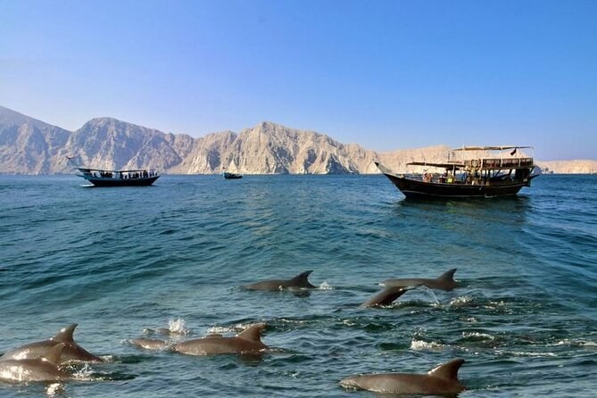 Private Full-Day Dhow Cruise: Musandam Fjords, Dolphins & Snorkel
