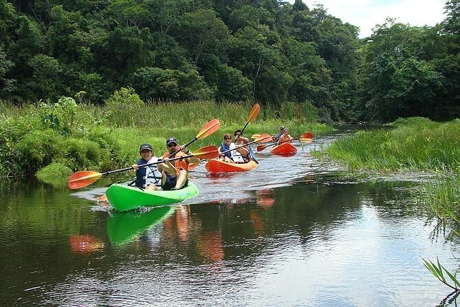 Gatun Lake Kayak & Monkey Island: Exclusive Wildlife Paddle