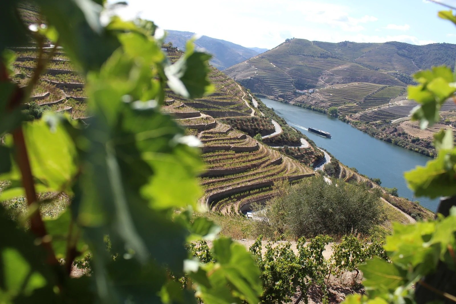 Private Porto Highlights & Port Wine Tasting Tour