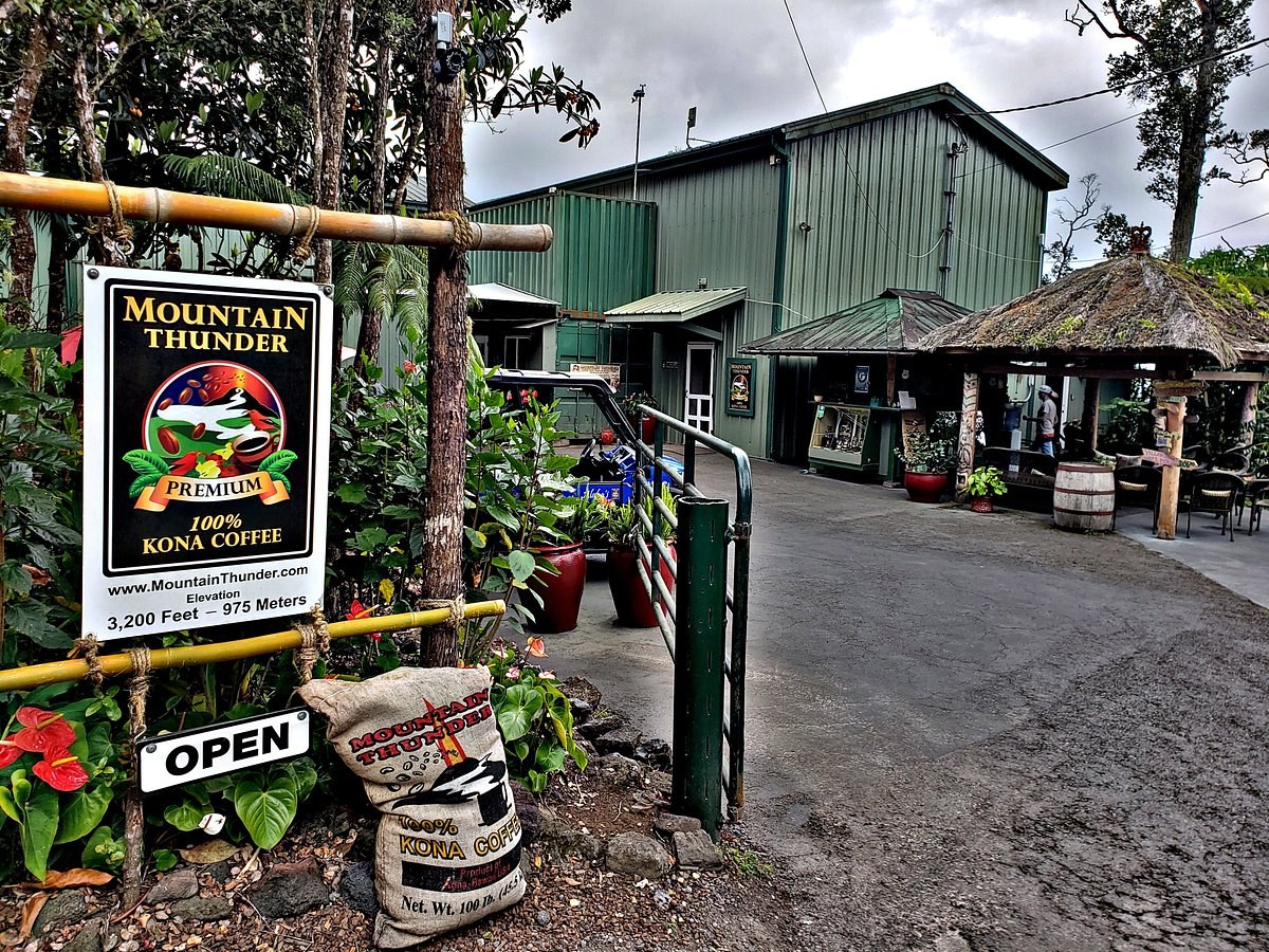 Mountain Thunder Coffee Plantation: Private Estate Tour & Tasting