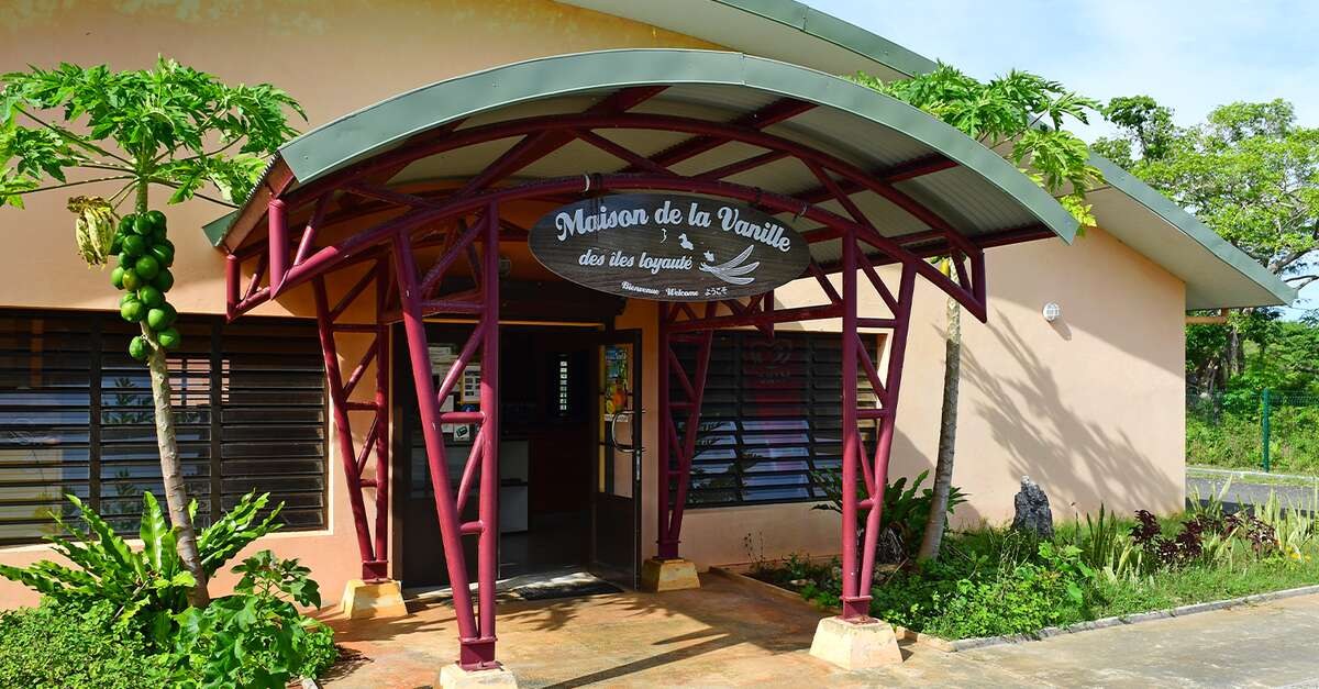 Vanilla Plantation Discovery at House of Vanilla, Lifou
