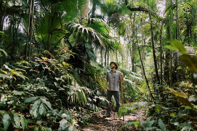 Kona Cloud Forest Sanctuary: Montane Jungle Immersion Tour