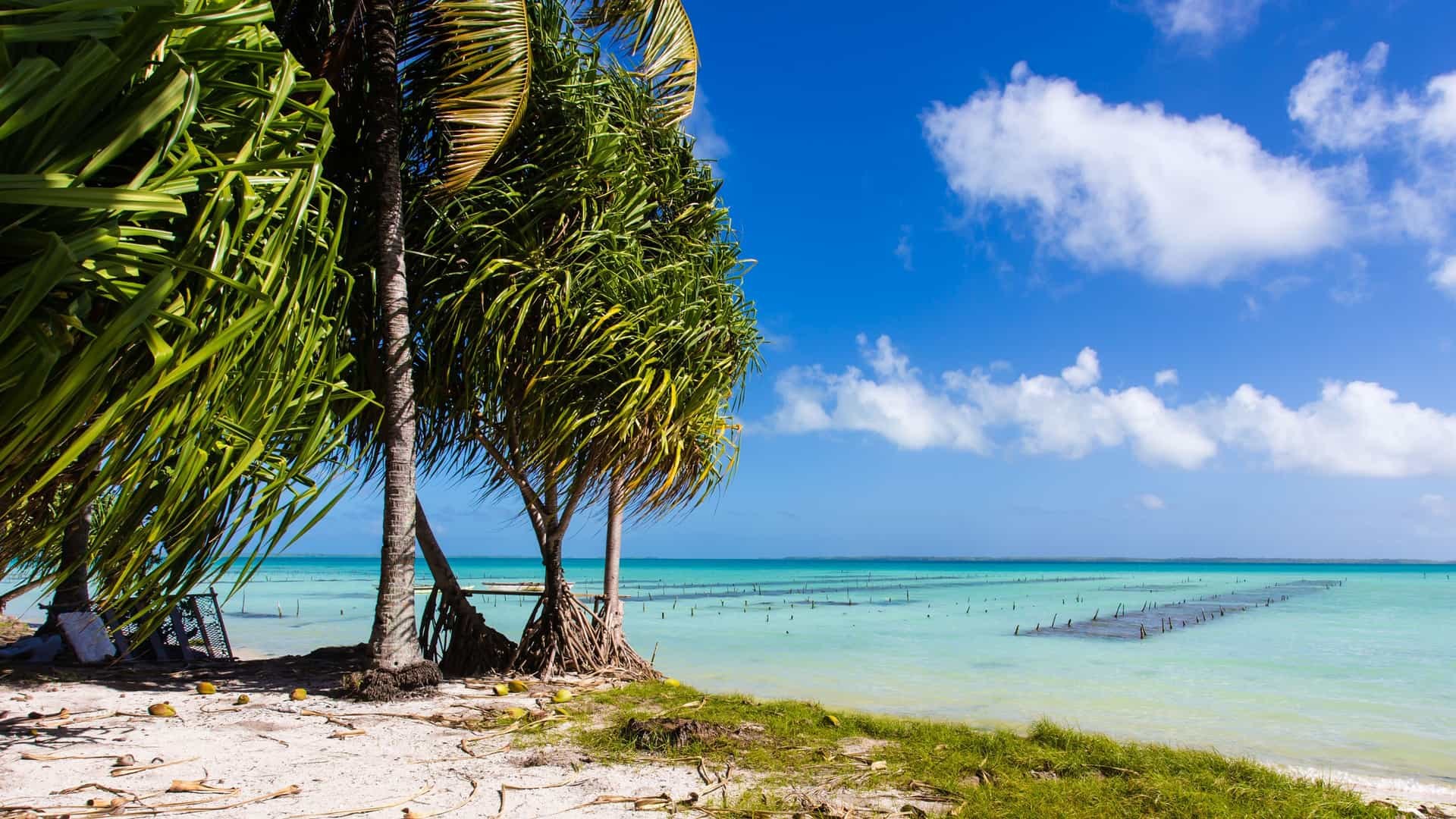 Ocean-Side & Lagoon Double-Beach Swim: Fanning's Twin Waters