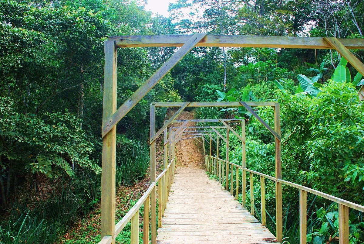 Pacoche Wildlife Refuge: Private Rainforest Immersion & Lunch