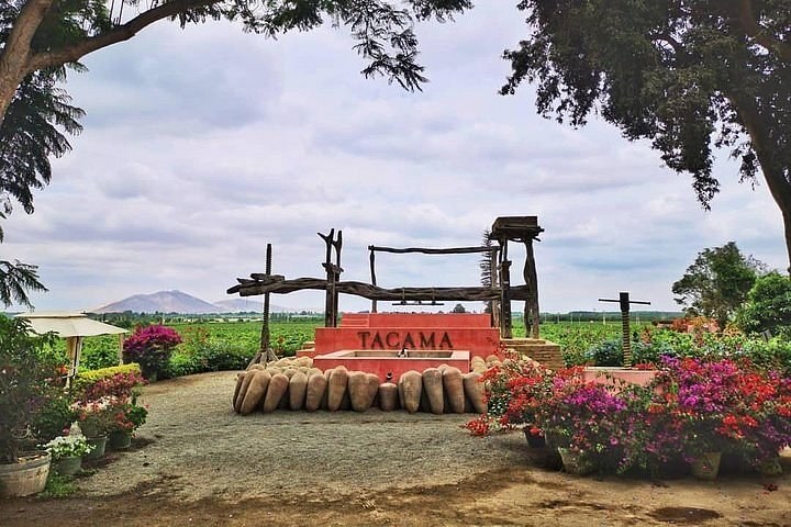 Ica Pisco Distillery: Private Estate Tasting & Cellar Tour