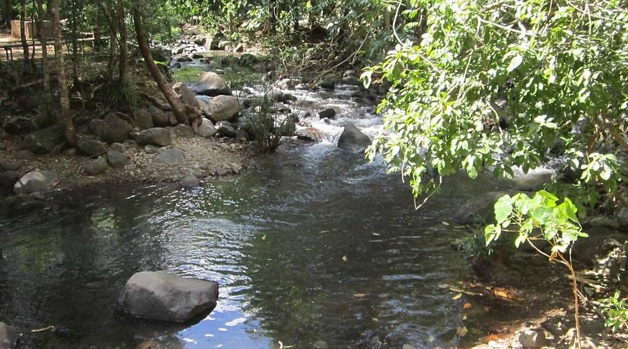 Pamulaklakin Forest Trail: Private Guided Aeta Cultural Trek