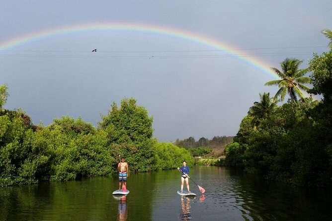 Sunrise Stand-Up Paddle: Turtles & Glassy Shallows