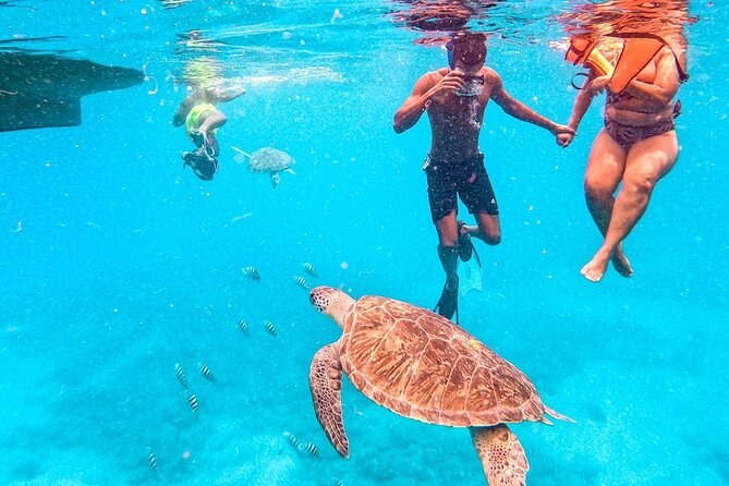Sea Turtle Snorkeling at Calhau & São Pedro Beach