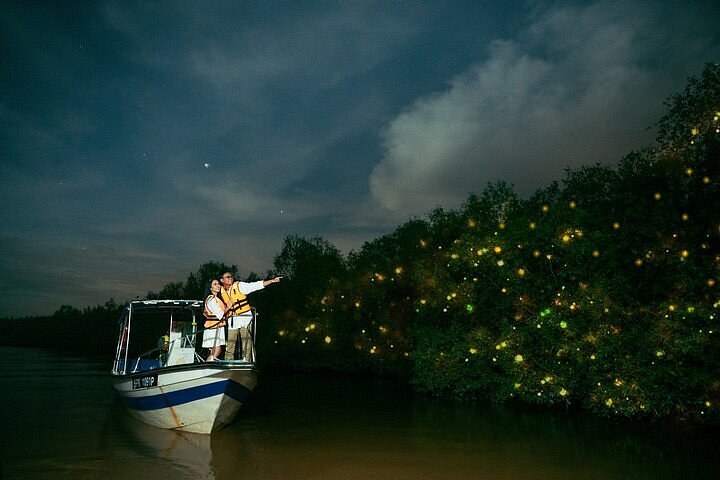 Mangrove & Firefly River: Private Twilight Boat Expedition