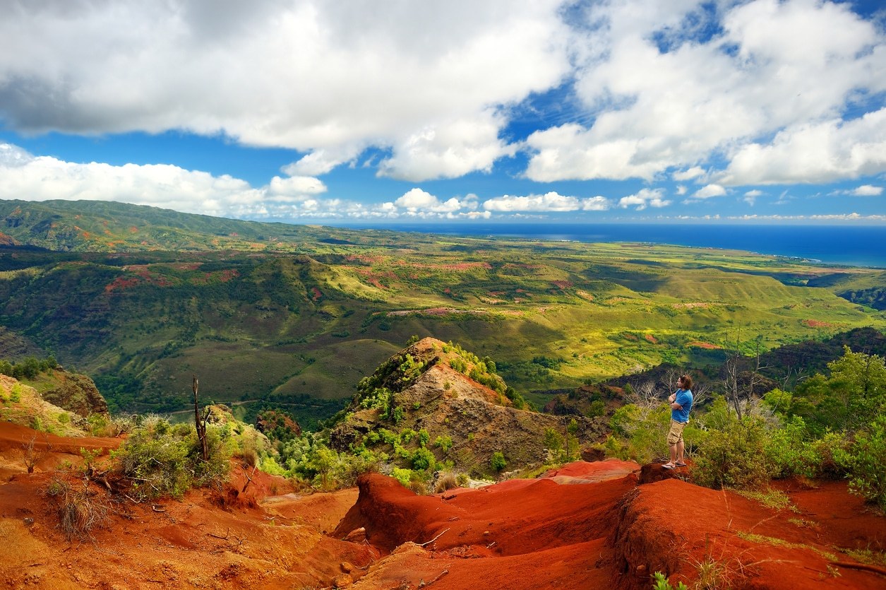 Waimea Canyon & Koke'e: Private Guided Highlands Safari