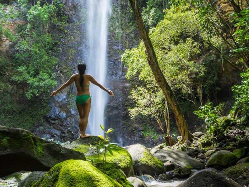 Wailua River Kayak & Hike to Secret Falls (Uluwehi)