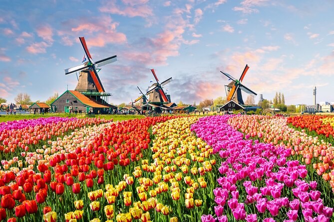 Keukenhof Gardens & Tulip Fields: Private Luxury Transfer