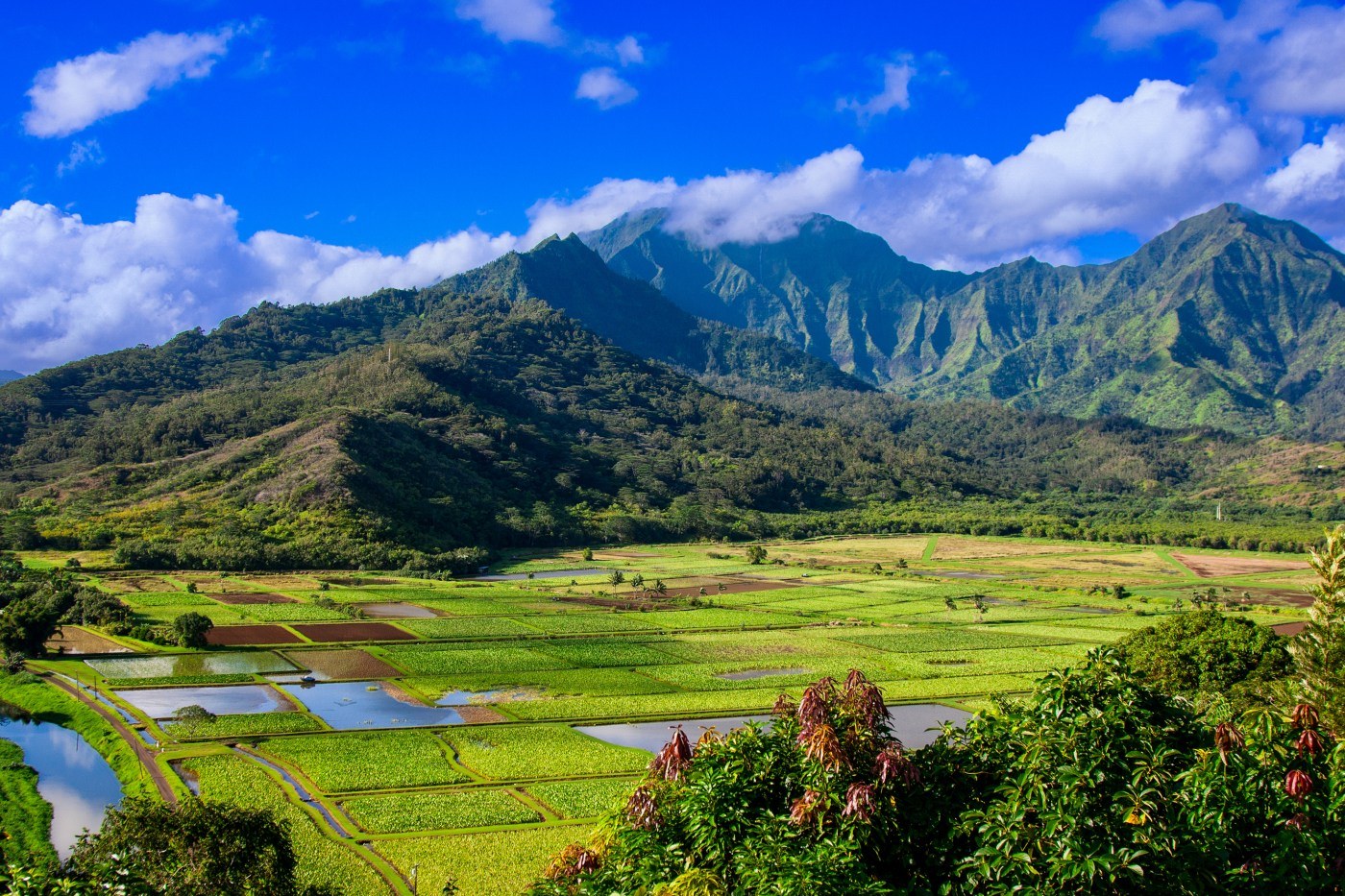 Hawaii Movie Tour: Kauai's Legendary Film Locations