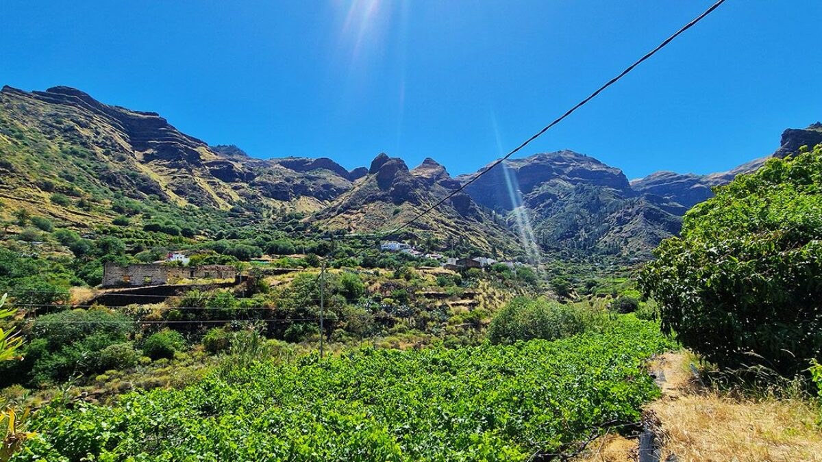 Agaete Valley & Coffee Finca: Small-Group Gourmet Highland Immersion