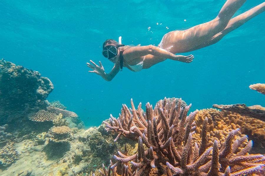 Great Barrier Reef Snorkel & Dive — Outer Reef Expedition