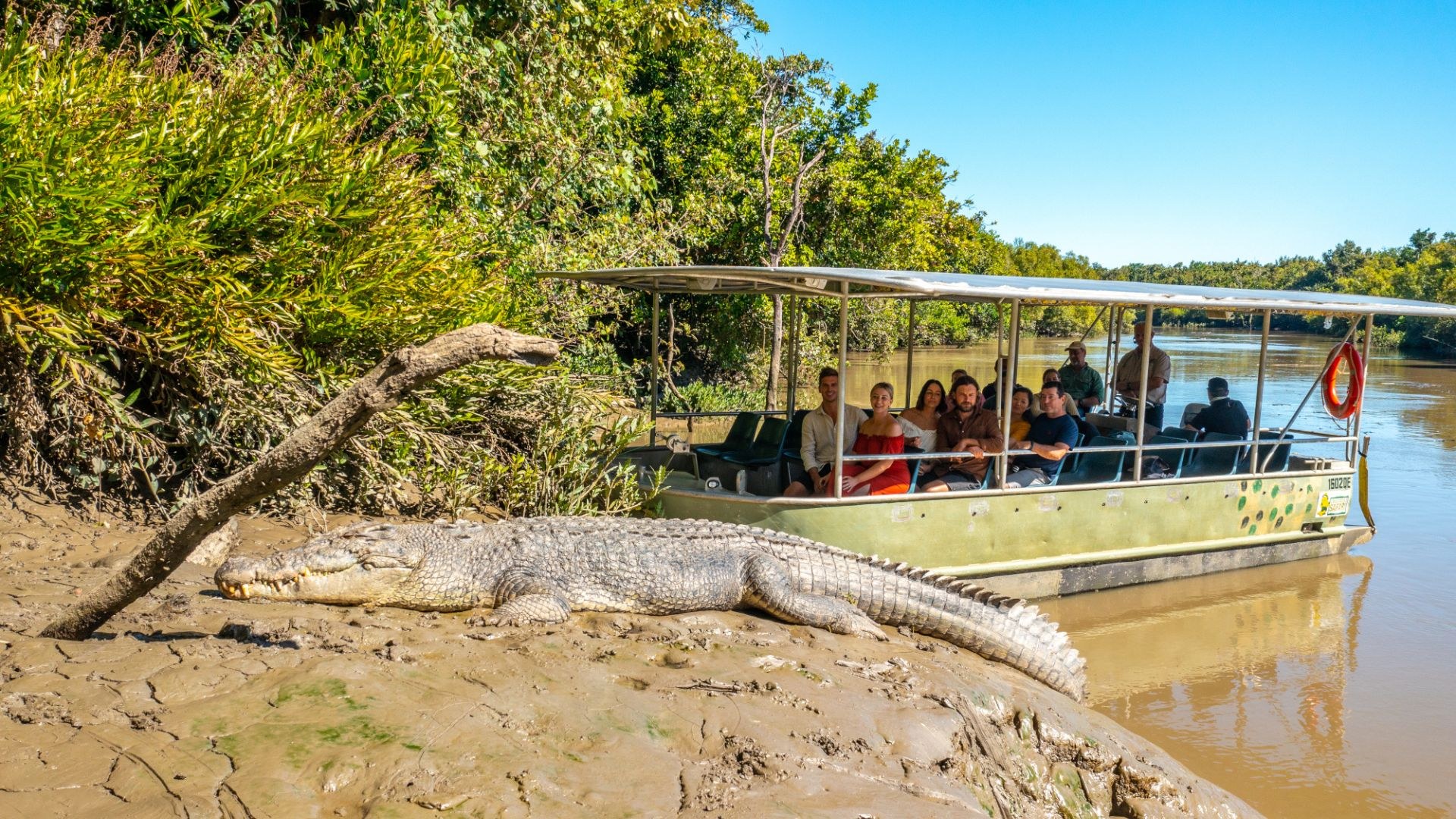 Whitsunday Crocodile Safari — River Cruise & Wildlife Encounter