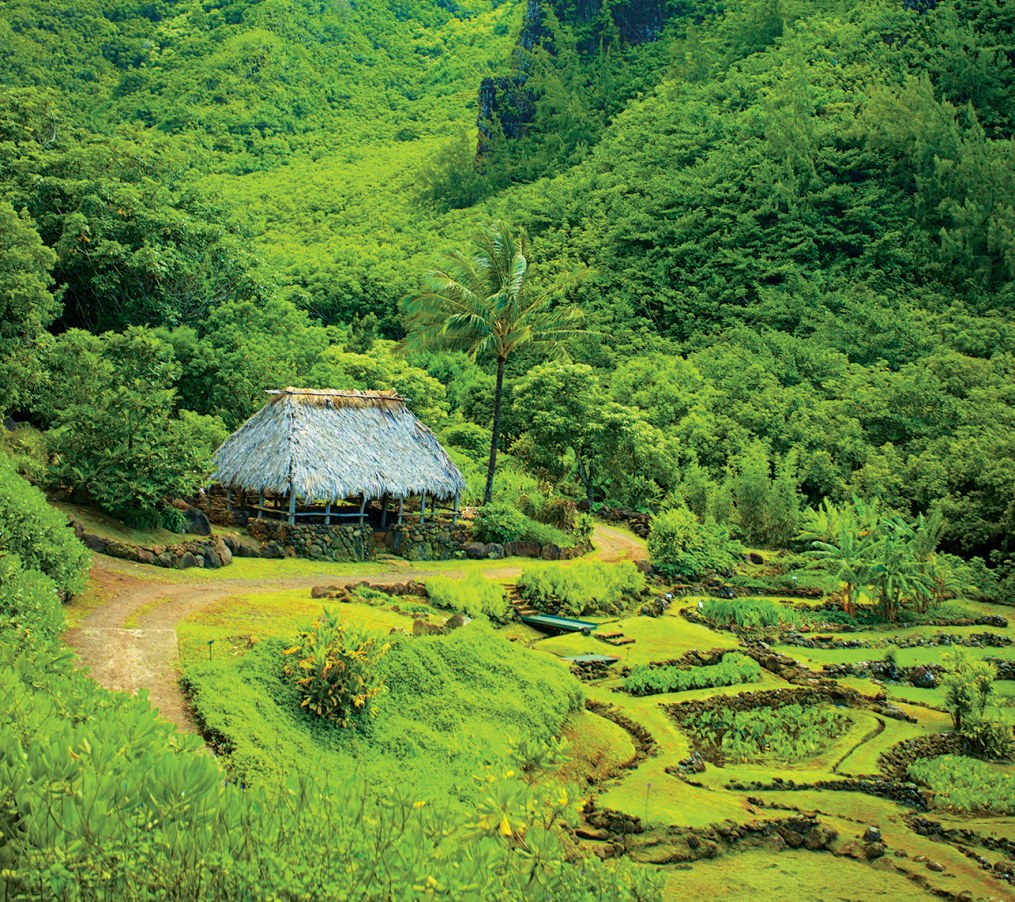 Limahuli Garden & Preserve: Botanical Masterpiece of the Nā Pali