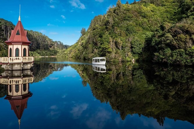 Zealandia Ecosanctuary: Twilight Guided Wildlife Experience