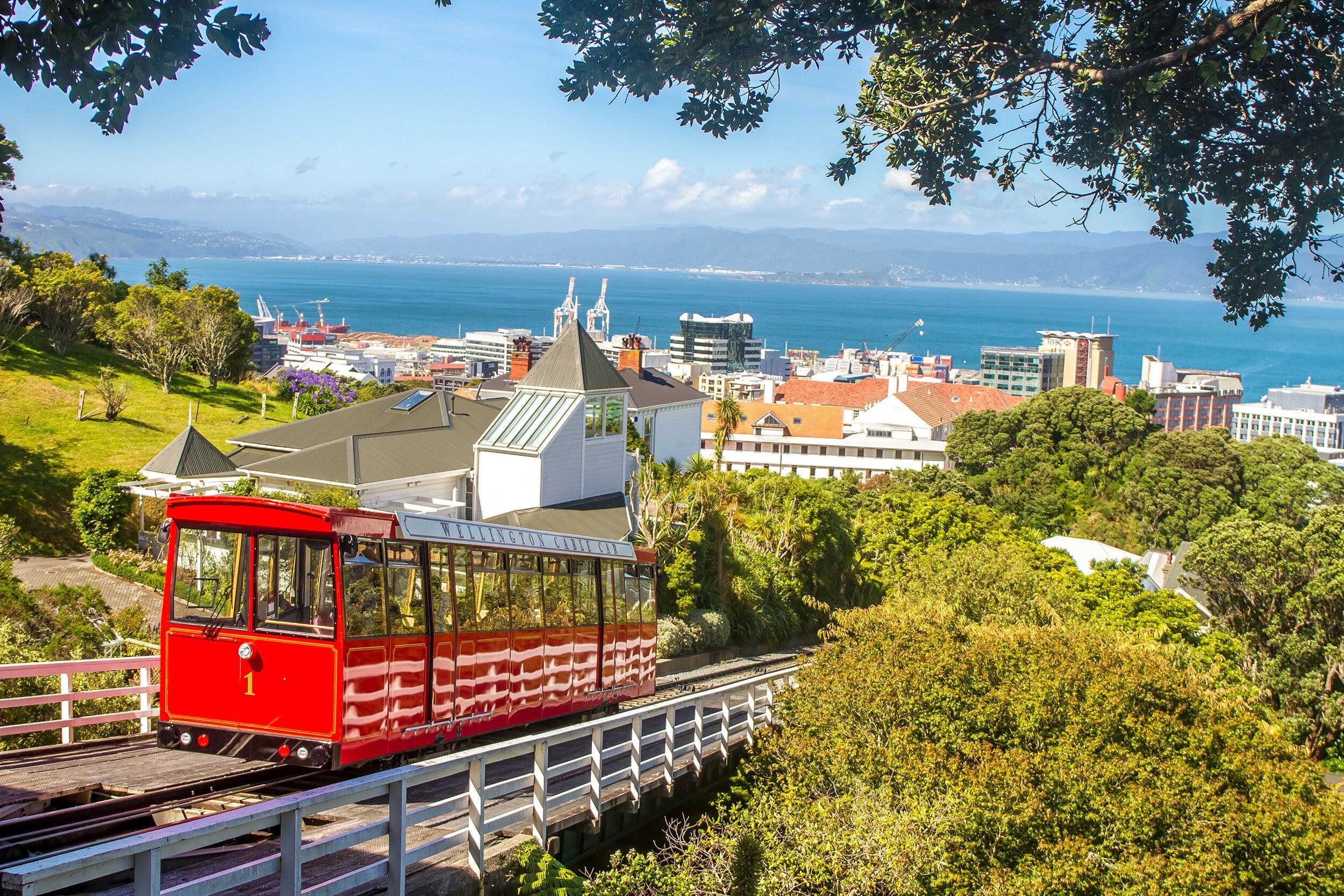 Wellington Cable Car, Botanic Garden & City Panorama Private Tour