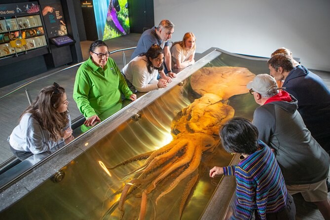 Te Papa Tongarewa: Private Curator-Led Museum Experience