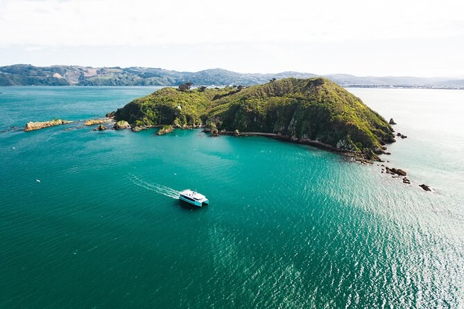 Wellington Harbour Luxury Sailing & Craft Beer Cruise