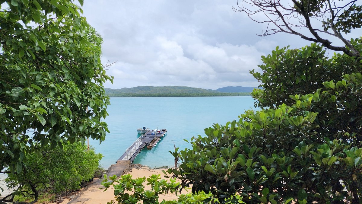 Kazu Pearls: South Sea Pearl Farm Discovery & Private Tasting