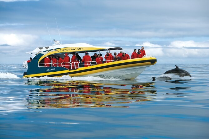 Tasman Island Wilderness Cruise: Sea Cliffs & Seabirds