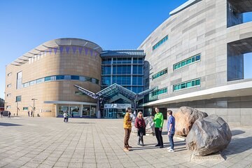 Wellington Te Papa Museum & Waterfront: Expert Private Tour