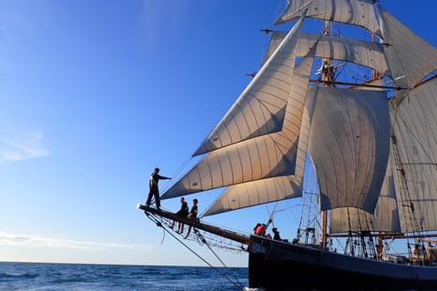 Bay of Islands Tall Ship Sailing: Dolphins & Historic Waitangi