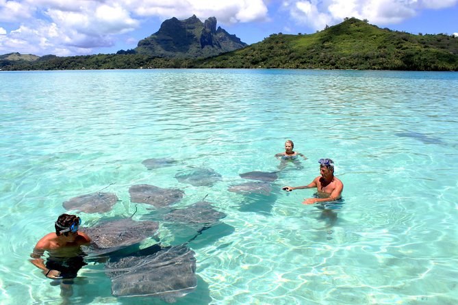 Bora Bora Private Lagoon Snorkel & Overwater Pearl Farm Tour