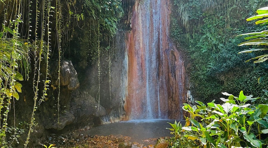 Diamond Waterfall, Botanical Gardens & Estate Lunch