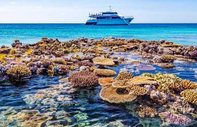 Great Barrier Reef: Private Liveaboard Sail, Dive & Snorkel