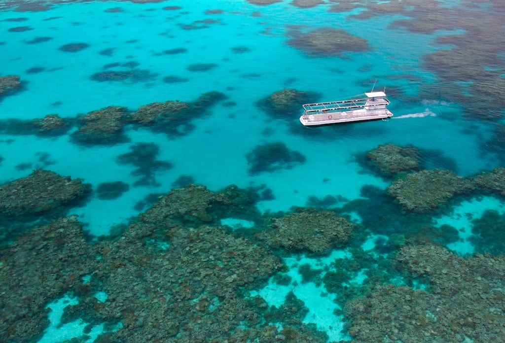 Great Barrier Reef: Semi-Submersible Submarine & Underwater Observatory