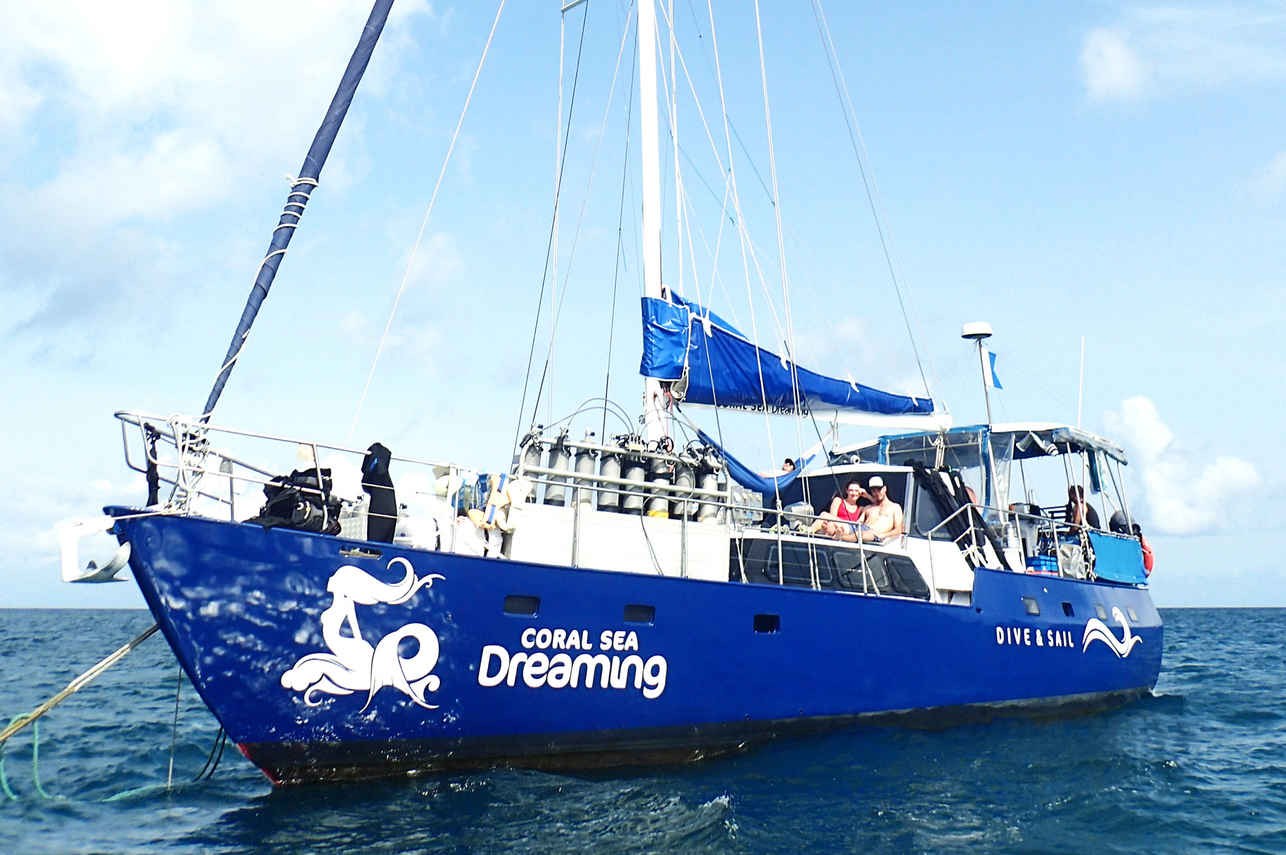 Coral Sea Dreaming: Private Charter — Bespoke Reef & Island Itinerary