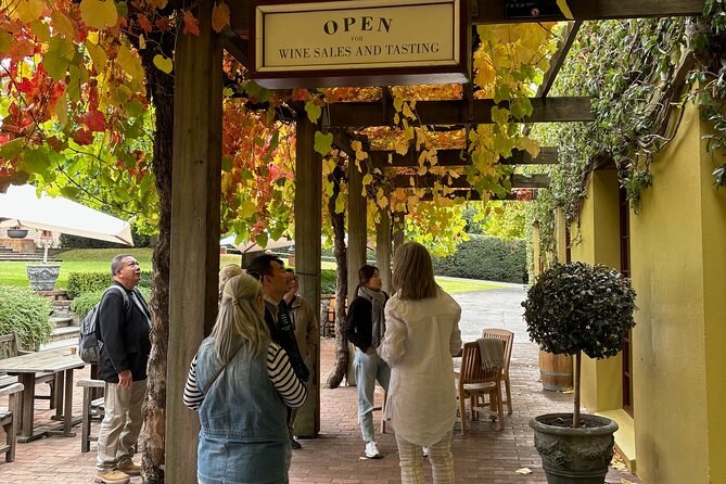 Adelaide Central Market Masterclass & Barossa Valley Private Wine Tour