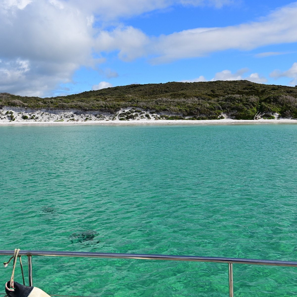 Albany: ANZAC History, Whale-Watch & the Southern Ocean by RIB