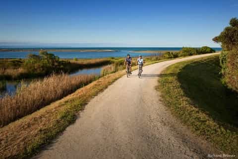 Cape Coast Winery Tour by E-Bike: Vines & Sea Breezes