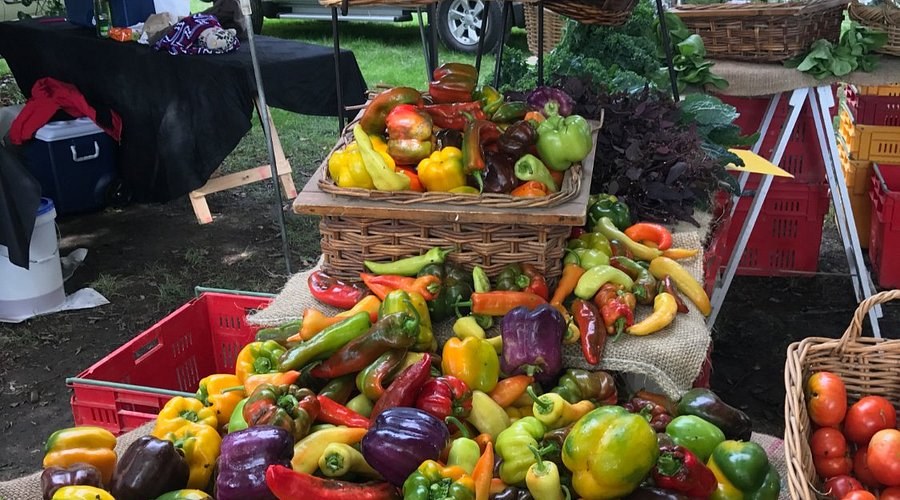 Hawke's Bay Farmers' Market & Artisan Food Experience